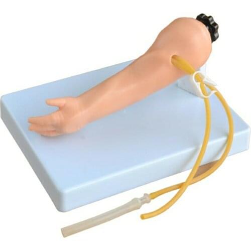 Medical Science Subject Simulator Series Advanced infant venipuncture arm for teaching