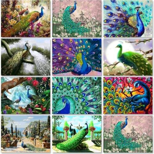 SDOYUNO Oil Paint By Numbers Kits Animals DIY Painting By Numbers On Canvas Frameless 60x75cm Birds Home Decor Wall Art