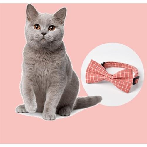 Костюмы для собак Zerodis China At AliExpress