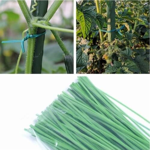 100pcs Green Gardening Vine Climbing Plants Cable Tie Lines Plant Brackets Parts Bonsai Flower Cucumber Grape Rattan Supports