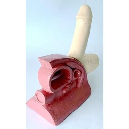 Male Catheterization Model/Male Internal and External Genitalia Models/Human Model for Teaching Training