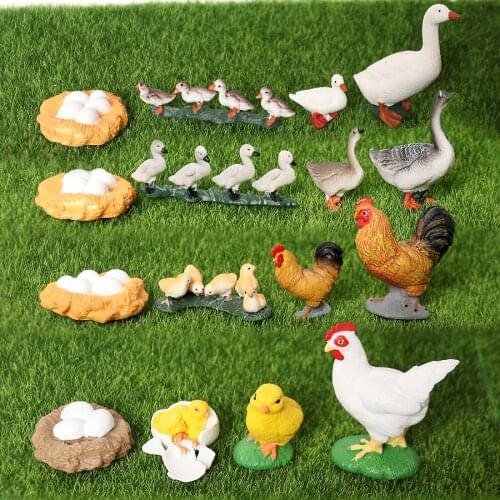 Simulation poultry Animals model Figurines the Life Cycle of a Chicken,Rooster,goose models Action Figures Educational toys