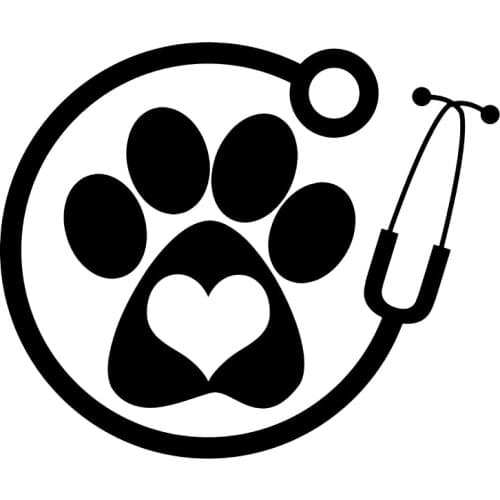 Car Stickers Veterinary Personality Car Decoration Car Accessories Stickers Waterproof Sunscreen Cover Scratches Waterproof