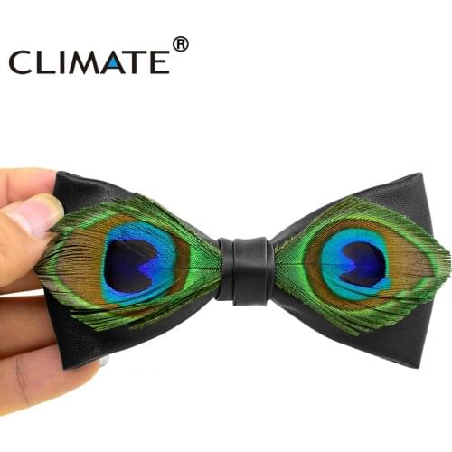 Handmade Bird Feather Bow Tie for Men Accessories Mens Luxury Bowtie Peacock Bird Feather Bowtie with Box for Wedding Gift