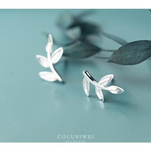 Colusiwei Genuine 925 Sterling Silver Simple Fashion Tree Leaf Stud Earrings for Women Hypoallergenic Korea Style Jewelry