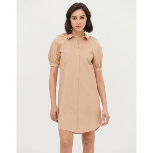 Women Office Lady Lantern Sleeve Straight Dress Trun Down Collar Khaki Color Elegant Casul Prom Dress 2021 Autumn Fashion Dress