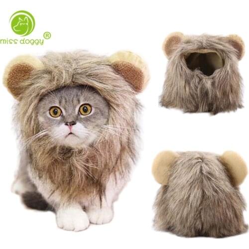 Newly Design Lovely Cartoon Lion Transformed Dress Pet Dog Cap Winter Windproof Warm Hat for Small Dogs French Bulldog Cap 10A