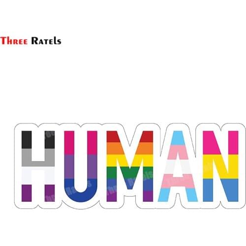 Three Ratels B447 Pansexual Transsexual Flag Vinyl Decal Sticker For Car, Truck Laptop Decoration