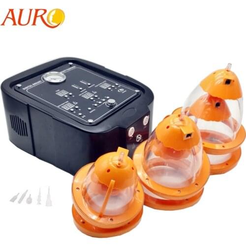 Hot Sale Salon Vacuum Suction Body Massager Breast Enhancer Machine with Massage Nipple Enlargement Equipment with Discounts