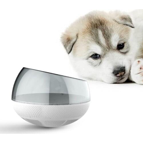 2021 new pet supplies bite resistant dog slow food bowl anti-choking pet bowl tumbler slow food dog bowl
