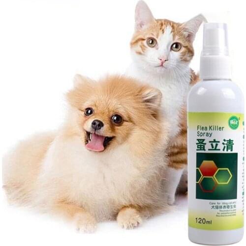 120ml Pet Insect Killer Spray Pets Dog Cat Anti-flea Drops Flea Lice Insect Killer Liquid Spray Puppy Treatment Liquid Spray