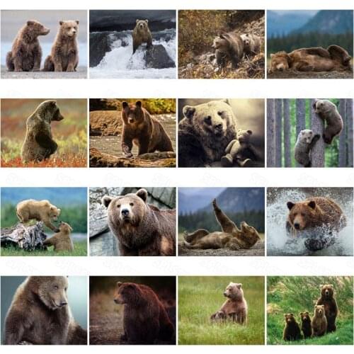 Diy Diamond Painting Nature Wildlife Protected Animals Bear Decoration Painting Hanging Painting Modern Bedroom Wall Painting