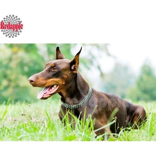 Doberman Pinscher 5D diy diamond painting,cross stitch,diamond mosaic embroidery beads dog 3d picture full square sticker deocr