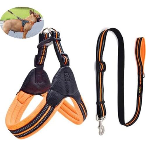 Reflective Nylon Dog Harnesses Step in Soft Mesh Padded Small Dog Puppy Harness Leash Set Safety For Walking XS S M L