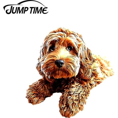JumpTime 13 x 4.2cm For Doodle Cockerpoo Cockapoo Spoodle Cute Puppy Dog Car Stickers Windshield Decal Scratch-Proof Car Styling