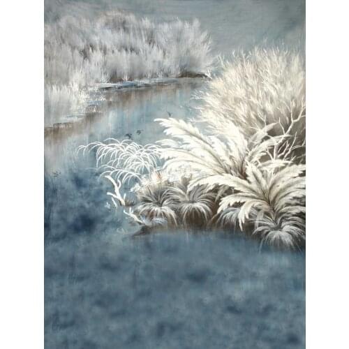 Life Magic Box background for a photo telon de fondo para fotografia Snowy marshes fotografie photo backdrop S-1740