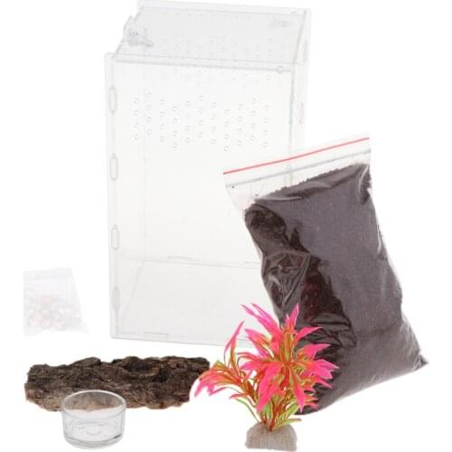 Breeding Box Spider Transparent Reproduction Box Spider Terrarium Plant