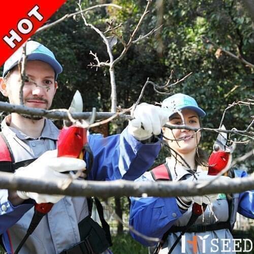 Tool pruner grafting Lithium battery drive working voltage 36V garden scissors /tree pruner