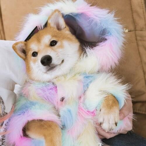 Dog Clothes Dog Jacket Coat Cute Cat Shirt Pet Clothing for Small Dog Jackets Outfit Puppy Rainbow Fur Yorkshire ropa para perro