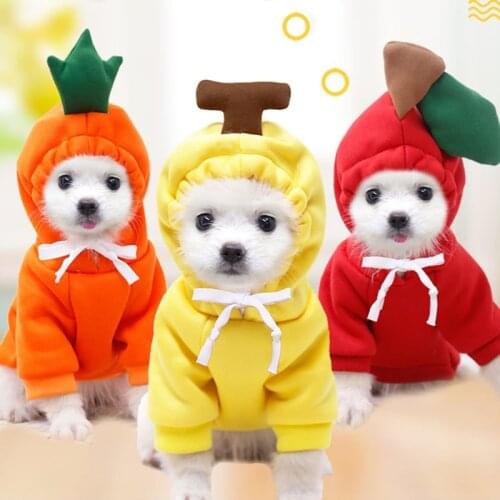 Pet Dog Cat Fruit Transformation Clothes Small, Medium and Large Dogs Fall/Winter Fleece Sweater Supplies Pet Teddy Fight