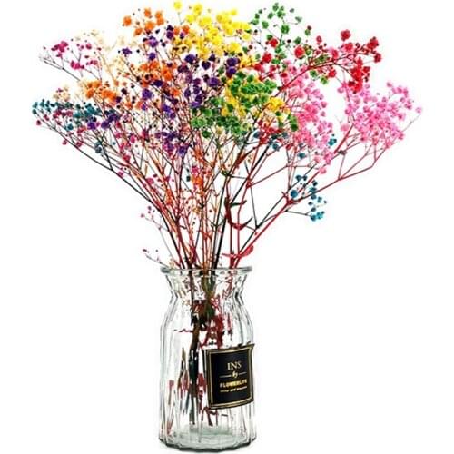 40cm Natural Dried Preserved Flowers Gypsophila Baby Breath Real Flower Bouquets Gift For Wedding Party Living Room Decoration