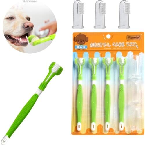 Bloomtimes Pet Supplies