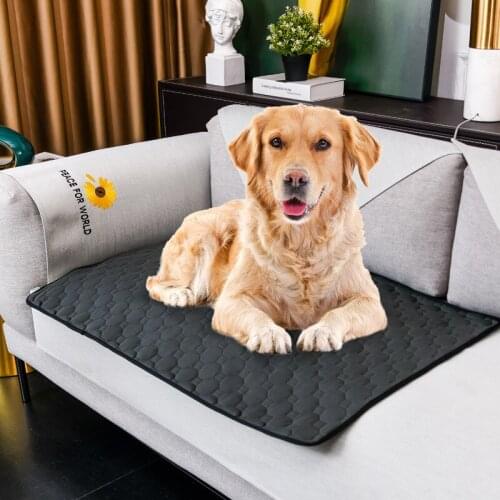 Pet Mats Summer Cooling Mat Dog Beds Mats Pets Ice Pad Cool Cold Silk Moisture-Proof Cooler Mattress Cushion Puppy Sleeping Pads