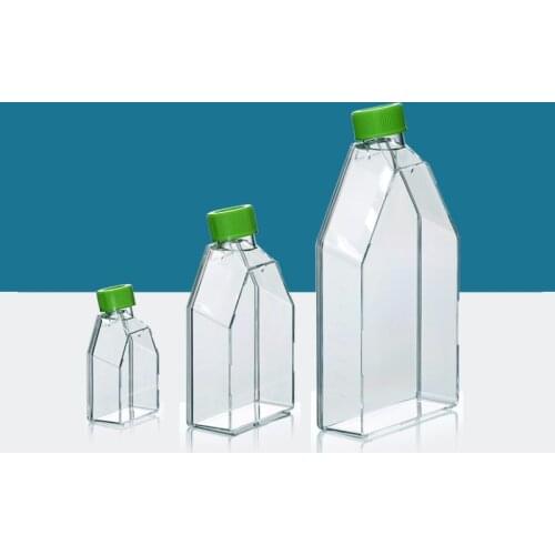 25c㎡/75c㎡/175c㎡ Cell culture flask TC treatment breathable cap