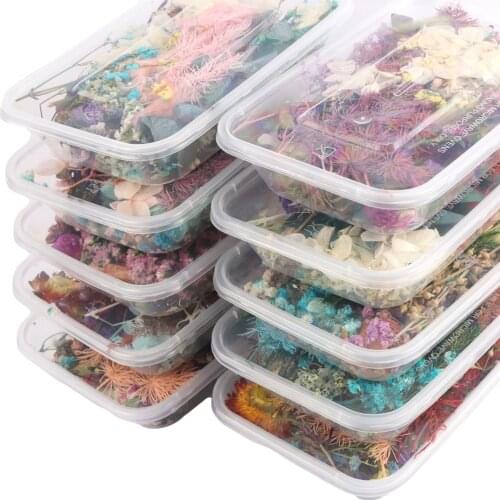 1 Box Random Color Real Dried Colorful Flower Plant For Aromatherapy Candle Epoxy Resin Pendant Necklace Jewelry Craft forceful