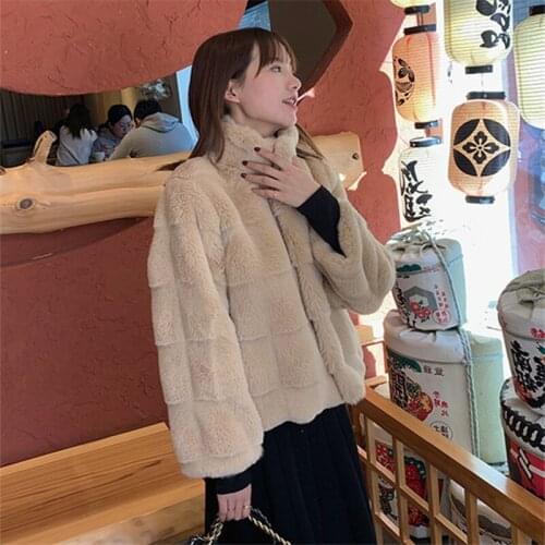 Winter New Thick Warm Fluffy Mink Fur Jacket Coat Women Loose Short Furry Outerwear 2 Color Stand Collar Faux Fur Jacket Female