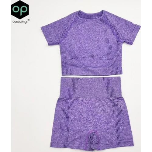 2pcs/set Women High Waist Seamless Yoga Set Gym Clothes Fitness Top Short Sleeve Shirt Shorts Sports Suits Athletic Wear