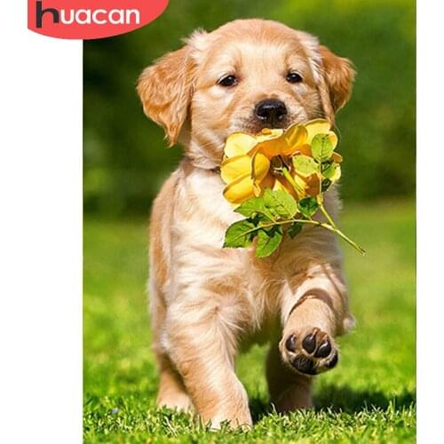 HUACAN Dog Diamond Painting Kits Animal Golden Retriever Embroidery Cross Stitchwall Decoration Handmade Gift