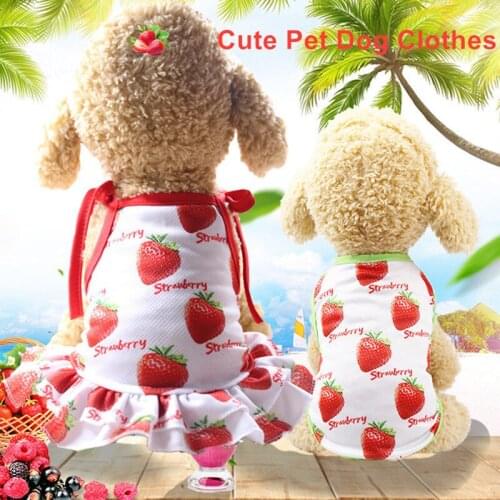 Summer Dog Lace Tullle Dress Pet Dog Clothes For Small Dog Dress Puppy Costume Spring Pet Clothes