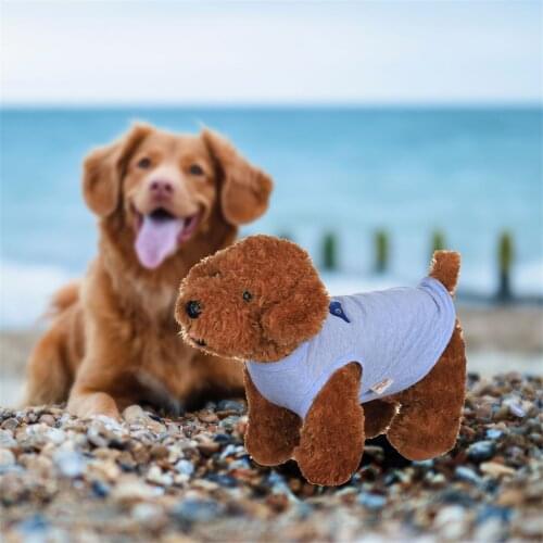 Pet Dog Cotton Vest Fashion Breathable Easy To Dry Soft Dolphin Pattern Cat Dog Daily Blouse Summer Comfy Casual Shirts XS-XL