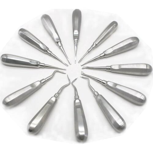 12 Pcs Dental elevator Stainless Steel Surgical Instrument Tools Dental Luxating Lift Elevator Curved Root Hexagon Handle