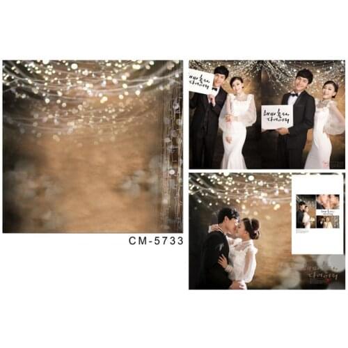 TR 10x20ft light spot fond photographic background light belts bokeh vinyl fabric photography backdrop wedding photo backdrops