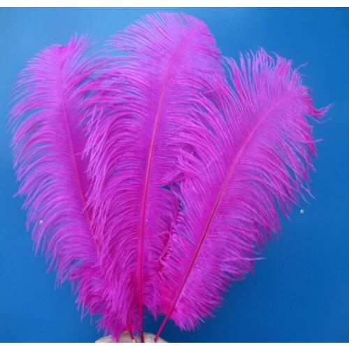 Manufacturers sell 100 pcs high quality rose ostrich feathers 24-26 inch 60-65 cm Wedding decoration
