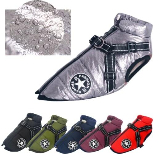 Unbranded Costumes For Dogs