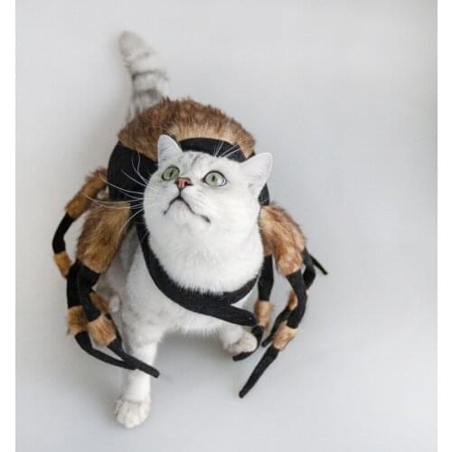 A Halloween Spider Clothes For Pet Dog Cat Funny Spider Costumes Dressing Up Pet Clothes Party Pet Halloween Props Accessories