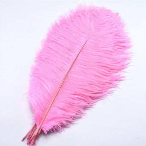 10 Pcs pink ostrich feathers for crafts Party decoration plumas 15-70CM DIY natural feathers for jewelry making Home Accessories