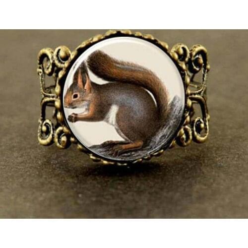 Steampunk Squirrel Squirrel ring Glass Dome Ring men women gift free shipping