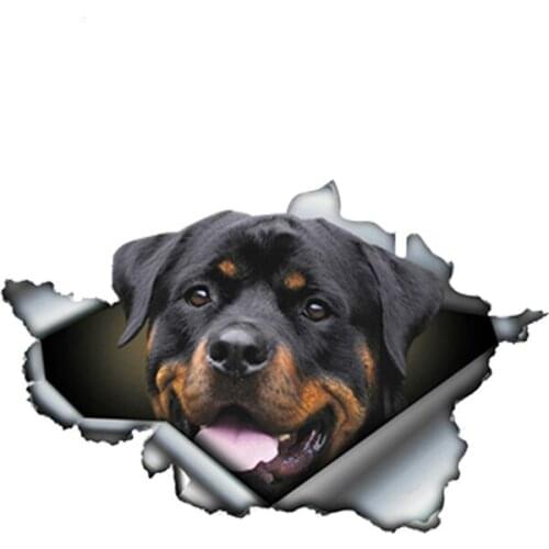 Pet Dog Funny Car Sticker 3D Car Styling Motorcycle Accessories Waterproof Sunscreen Scratch-Proof Vinyl Material Decal Kk13*9cm