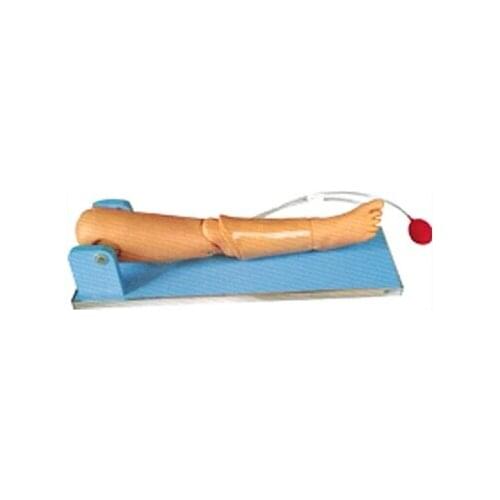 Childrens bone and femoral vein Puncture operation model Tibial puncture femoral vein puncture model
