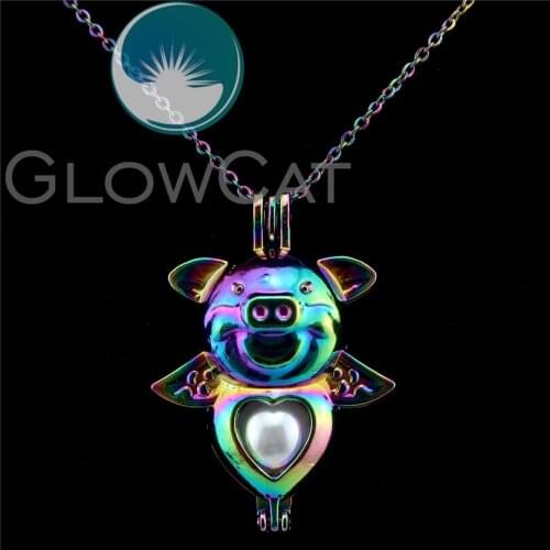 C333 Rainbow Color 42mm Large Pig Beads Cage Essential Oil Diffuser Aromatherapy Pearl Cage Locket Necklace Kids Girl Gift