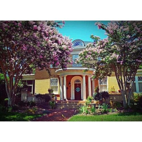 House Tree Lawn Vinyl Cloth Photography Backgrounds Portrait Photographic Backdrops for Children Wedding Photo Studio Photobooth