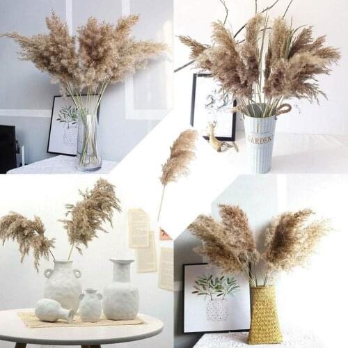 1pcs Pampas Grass Dried Natural Phragmites Flowers Decor Home Wedding Christmas Big Reed Plants Flower Bouquet Decoration