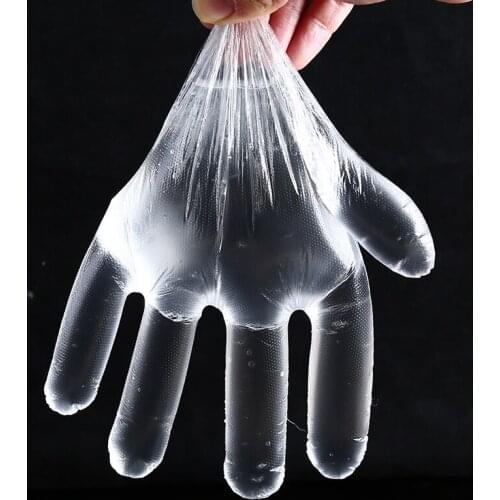 800 Pcs/set Food Plastic Gloves Eco-friendly Disposable Gloves Restaurant Hotel BBQ Multifunction Plastic Kitchen Clean Glove