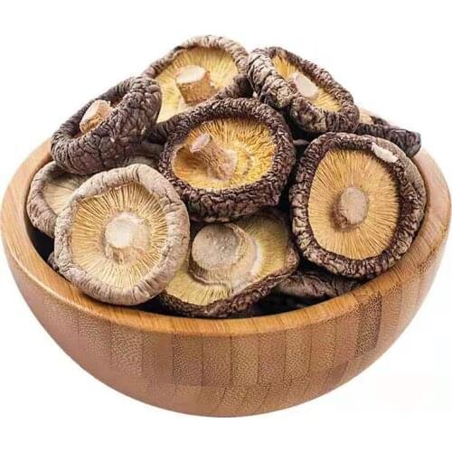 2020 DRIED SHIITAKE MUSHROOMS PREMIUM ORGANIC GROWN MUSHROOMS NATURAL FOOD FUNGUS HERBAL FOOD