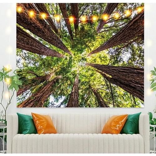 Sun with Takaki Tapestry Vintage Exotic Summer Plant Nature Frame for Bedroom Photography Wall Decor