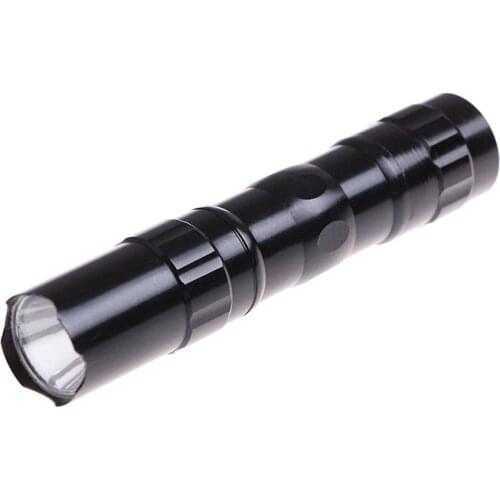 1Pcs Waterproof Mini LED Flashlight Torch Pocket Light Portable Lantern AA Battery Powerful Led For Hunting Camping